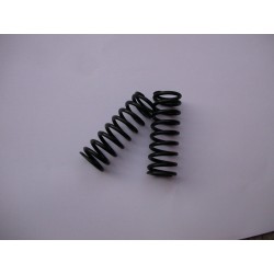 VALVE SPRINGS 1915-19 3 1/2 hp per eng set
