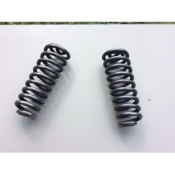Fork Springs