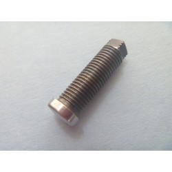 Tappet Adjuster Screw 1929-31
