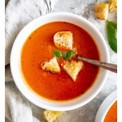 MSCR Rally 2026 Starters