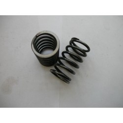 A pair of valve springs (Sunbeam part number 2577)